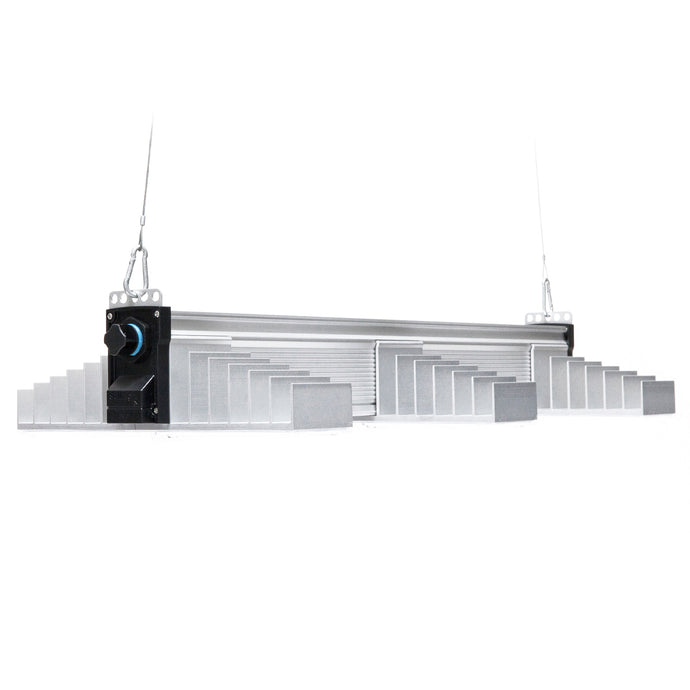 SANlight - EVO 3-80