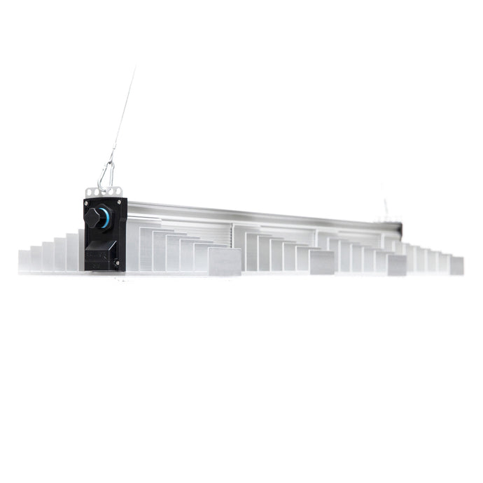 SANlight - EVO 4-100