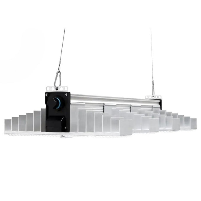SANlight - EVO 4-80