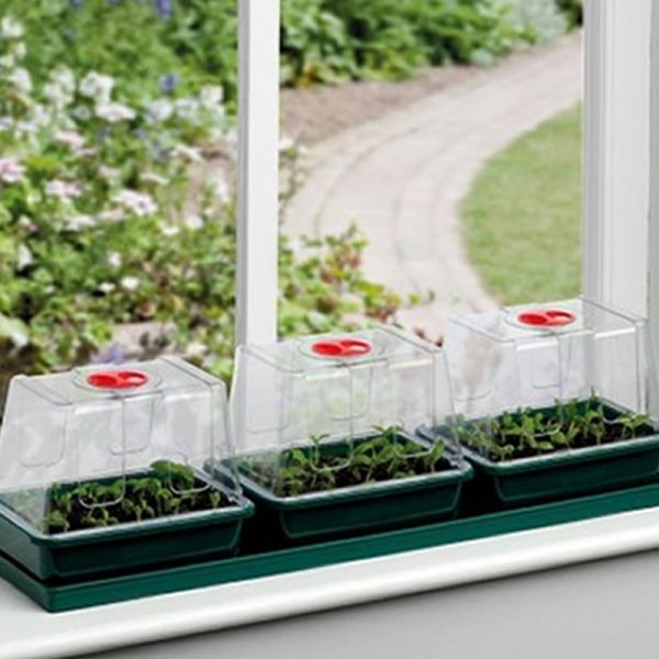 Garland Three Top Fenstergewächshaus