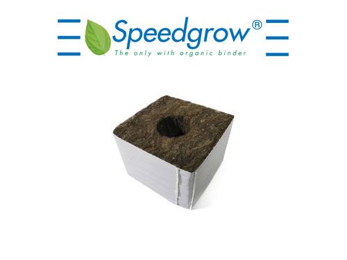 Speedgrow Green Startblock, grosses Loch