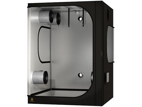 Secret Jardin Dark Room DR 150