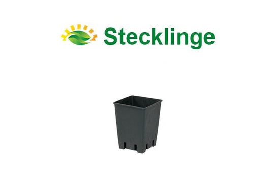 Topf viereckig - 1 Liter