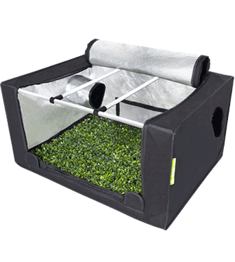 Garden High Pro - Propagator M
