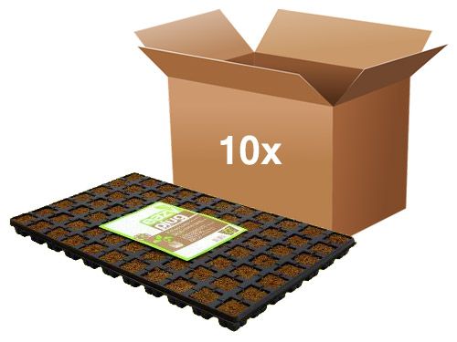 Eazy Plug -ganze Kiste- 10 Trays mit je 77Stk à 3.5 x 3.5cm