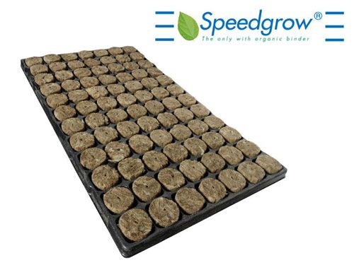 Speedgrow Green Steck Tray 84