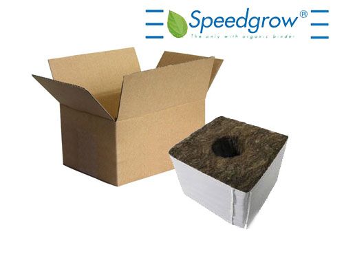 Speedgrow Green Startblock, grosses Loch - Karton à 224 Stk