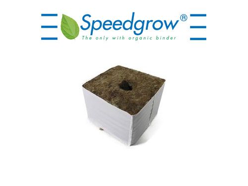 Speedgrow Green Startblock, kleines Loch