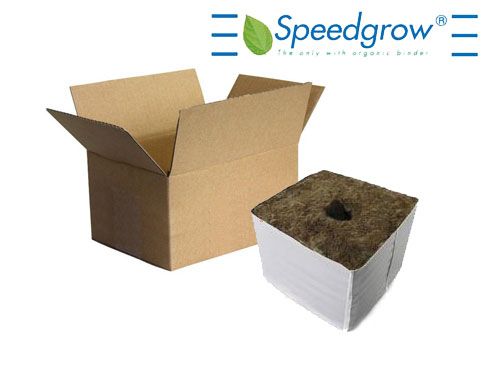 Speedgrow Green Startblock, kleines Loch - Karton à 224 Stk