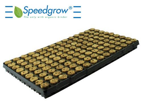 Speedgrow Green Steck Tray 126