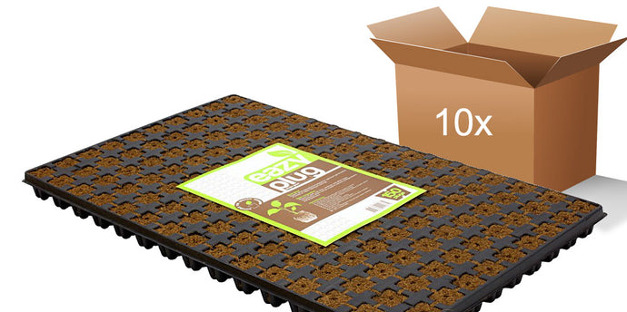 Eazy Plug -ganze Kiste- 10 Trays mit je 150Stk à 2.5 x 2.5cm