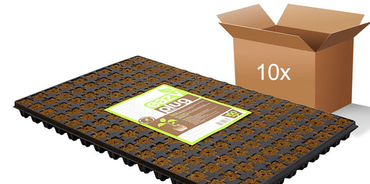 Eazy Plug -ganze Kiste- 10 Trays mit je 150Stk à 2.5 x 2.5cm