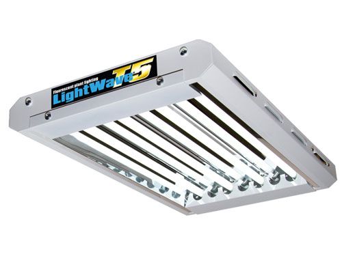 LightWave T5 LW 24-HO