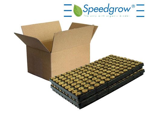 Speedgrow Green Steck Tray 126 - Karton à 11 Trays