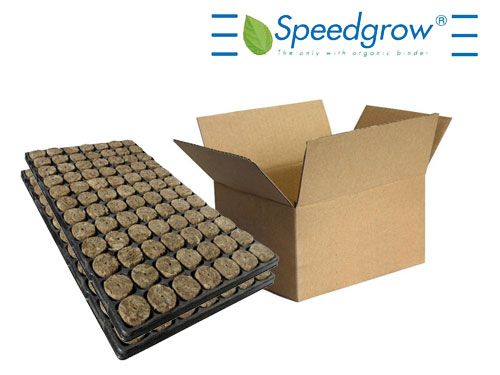 Speedgrow Green Steck Tray 84 - Karton à 11 Trays