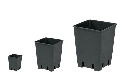 Topf viereckig - 25 Liter
