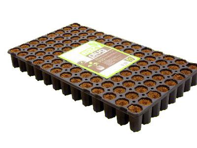 Eazy Plug 1 x Stecklings-Tray, 104Stk rund Ø 3.5cm
