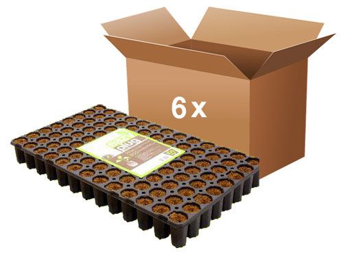 Eazy Plug -ganze Kiste- 6 Trays mit je 104Stk rund Ø 3.5cm