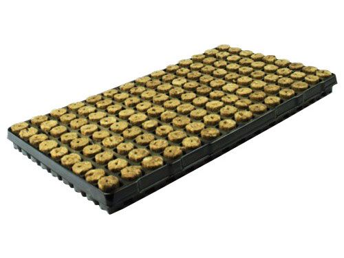 Speedgrow Basic Steck Tray 126