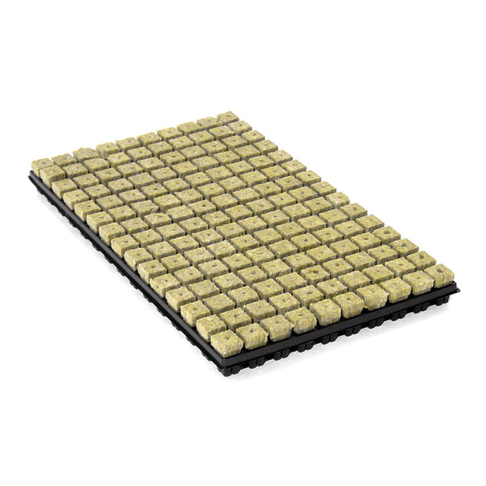 Pflanzsubstrat Grodan Stecktrays / 150 Stk. pro Tray