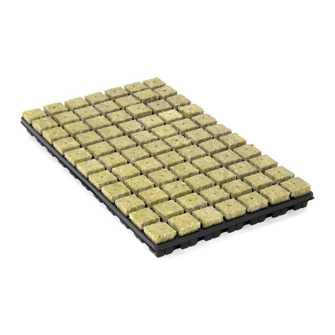 Pflanzsubstrat Grodan Stecktrays / 77 Stk. pro Tray